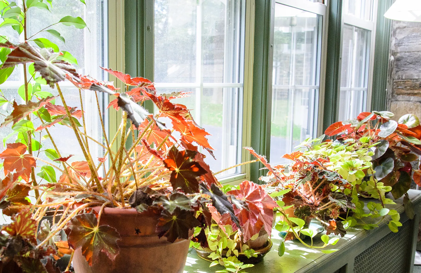 Event Image Placeholder - Default Image 86