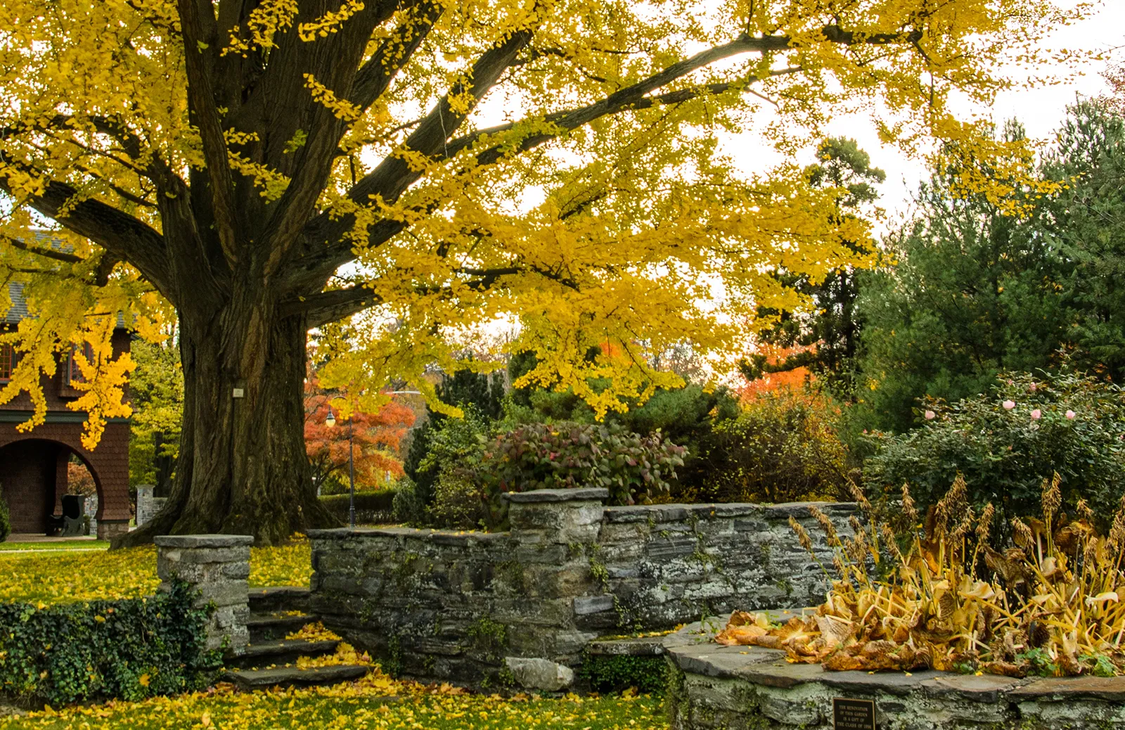 Event Image Placeholder - Default Image 74