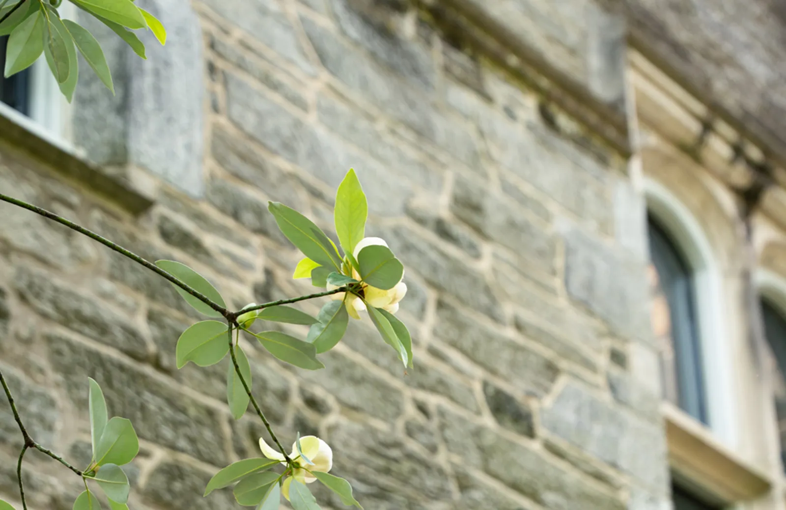 Event Image Placeholder - Default Image 64