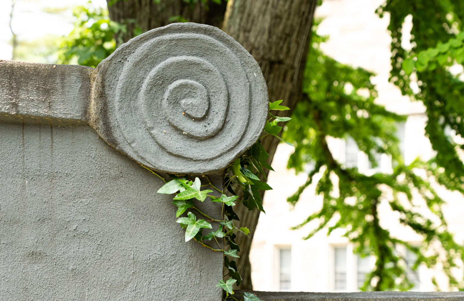 Event Image Placeholder - Default Image 61