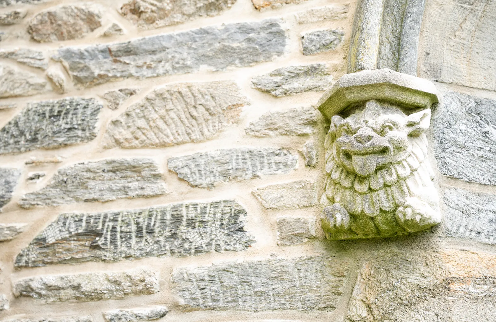 Event Image Placeholder - Default Image 54