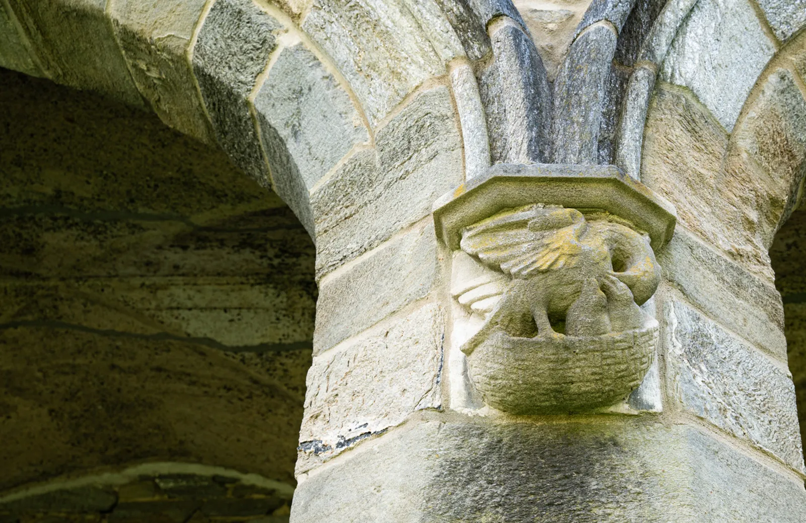 Event Image Placeholder - Default Image 52