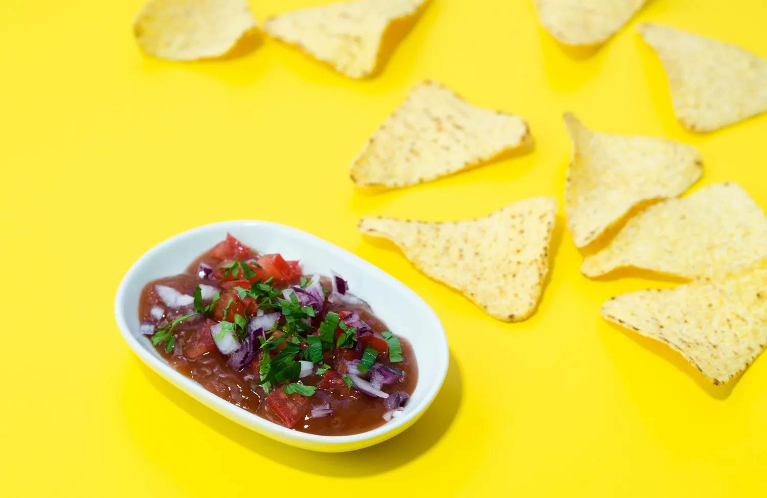 Salsa stock