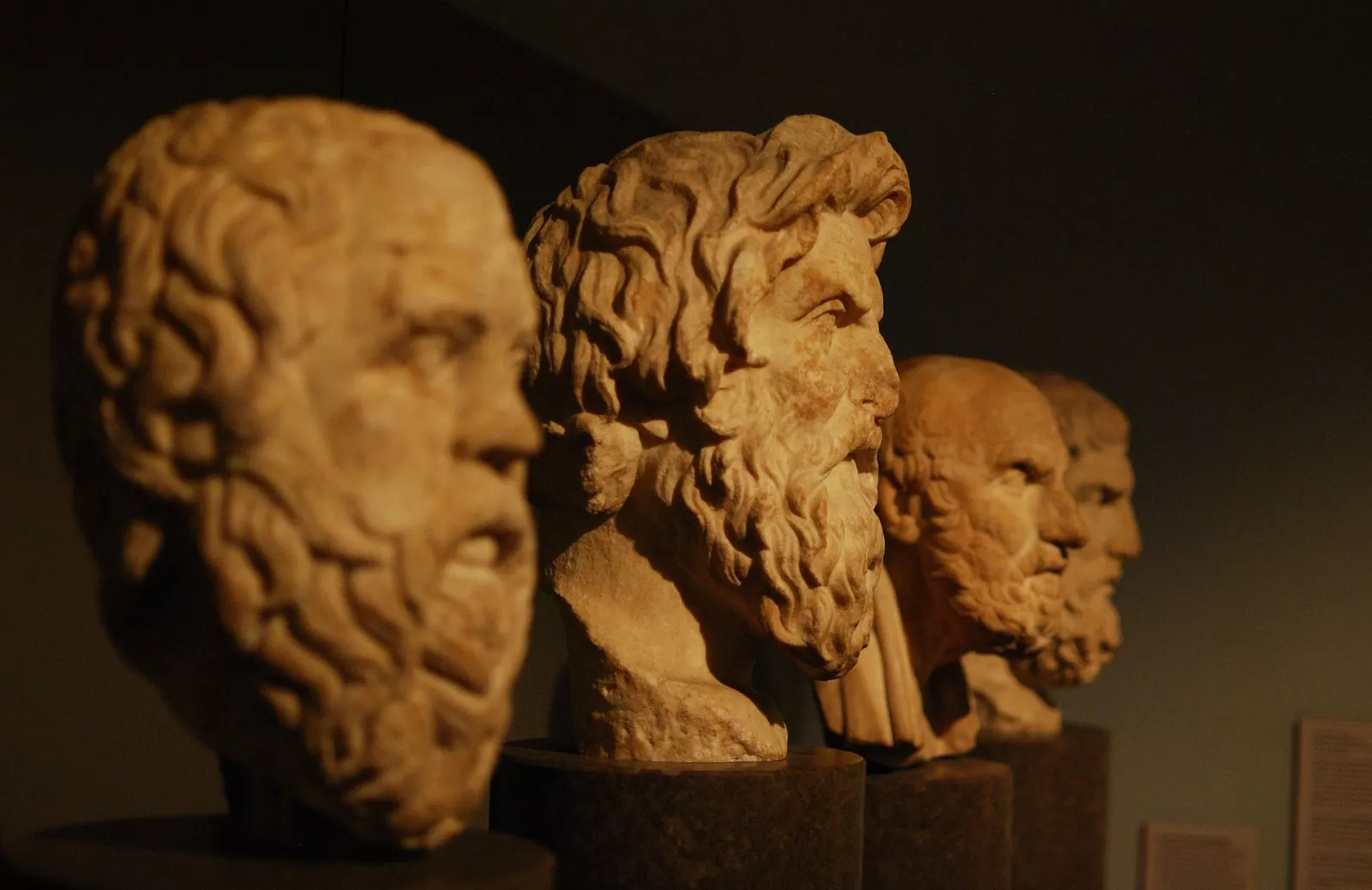 Aristotle Bust