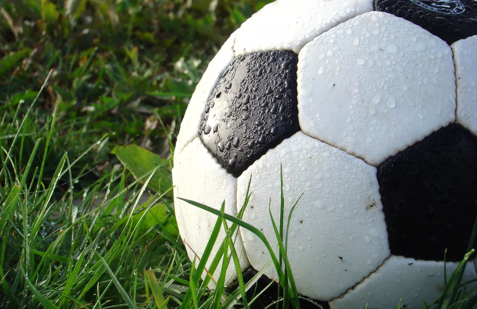 Soccer ball