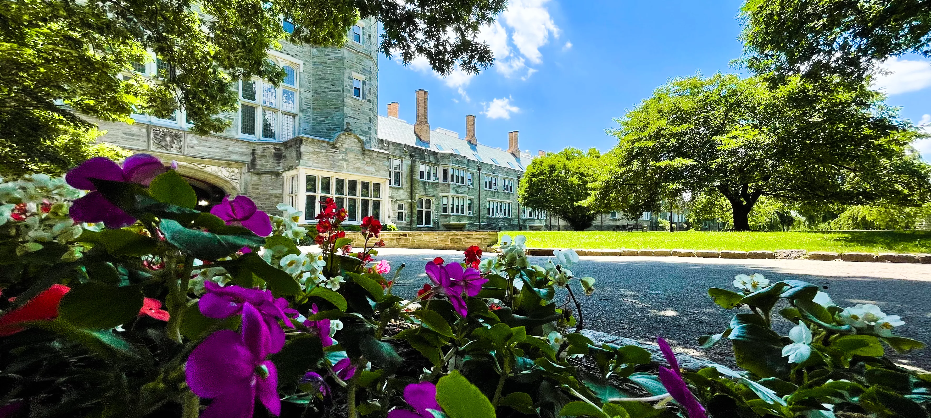 flowers on campus