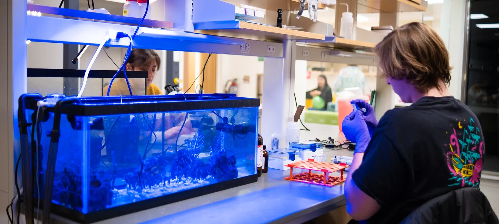 Asja Radja Lab