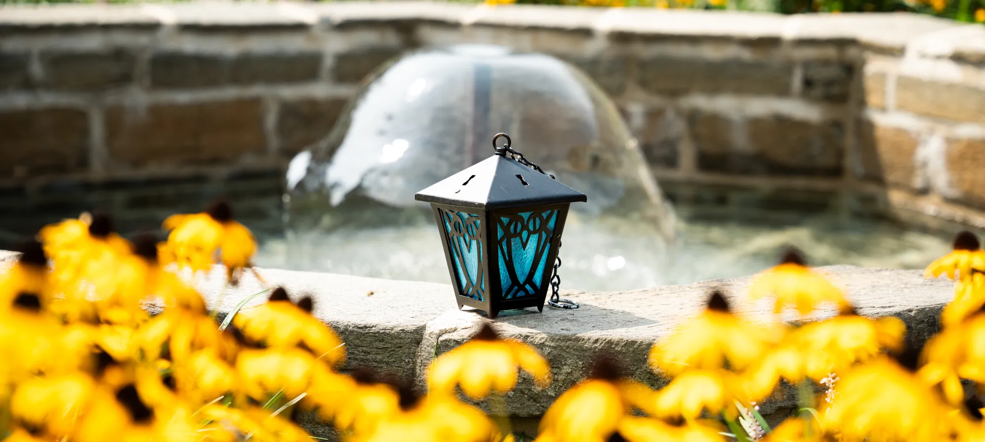 flowers and lantern
