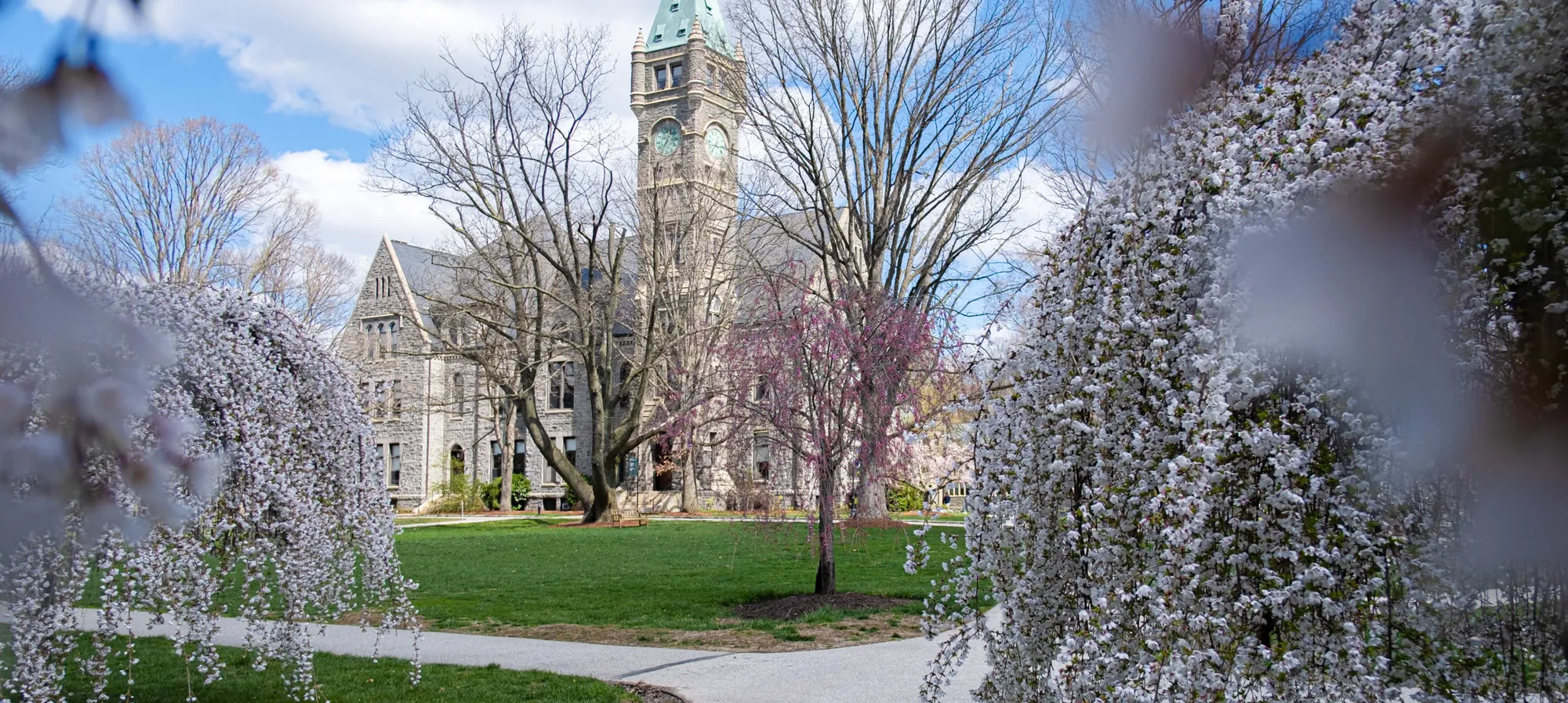 OCM-Campus-Beauty-Spring
