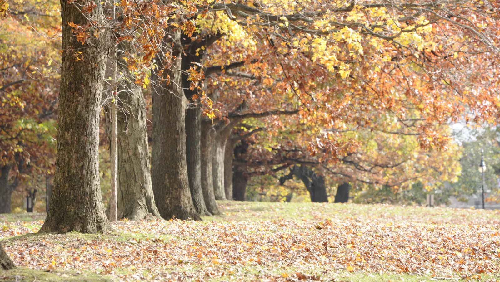 campus outdoor