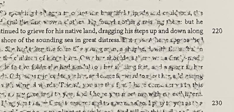 detail of work by artist Bethany Collins. Zoomed in to reveal erasure of text and remaining text "“but he continued to grieve for his native land, dragging his steps up and down along the shore of the sounding sea in great distress.” 