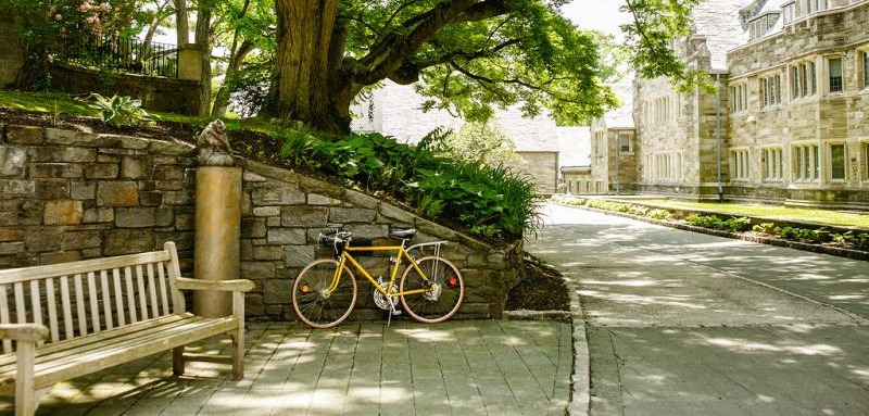 Rhoads exterior with bike, bench, and owl