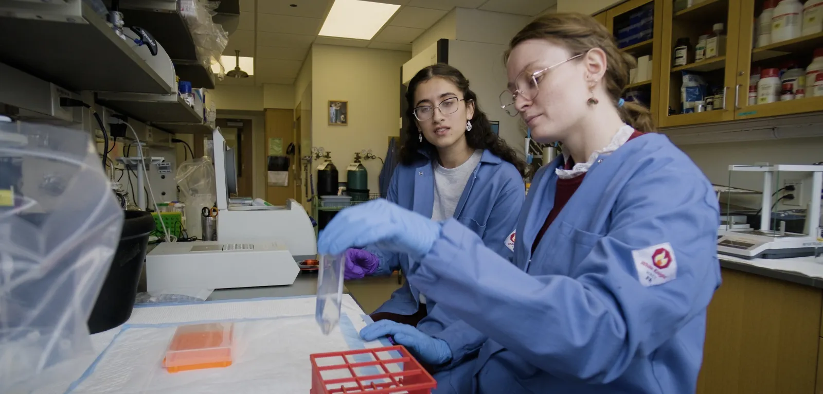 STEMLA lab photo