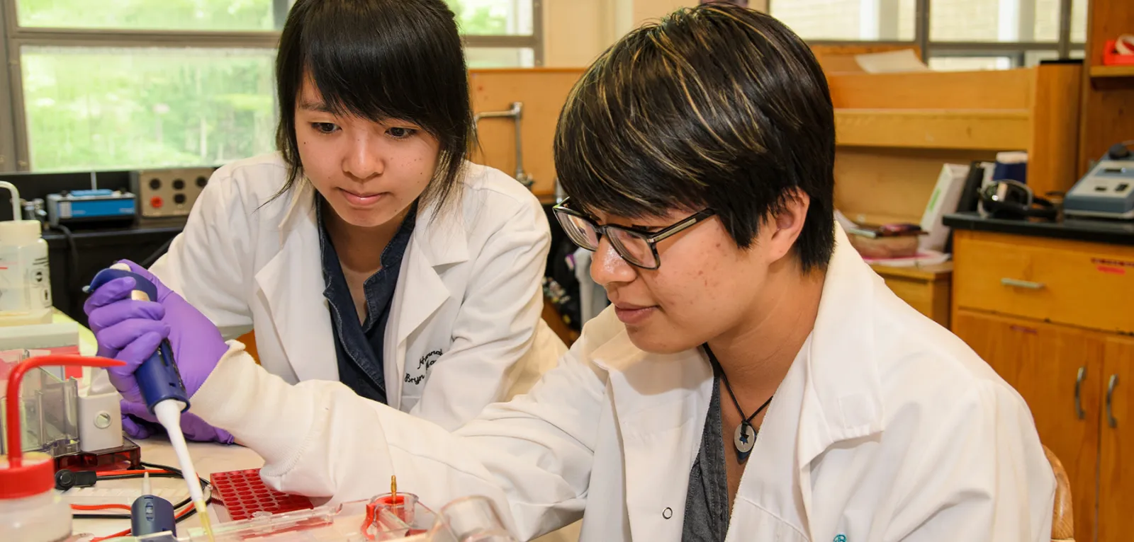 student experience - fellowships