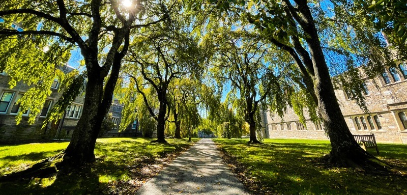 Spring Path