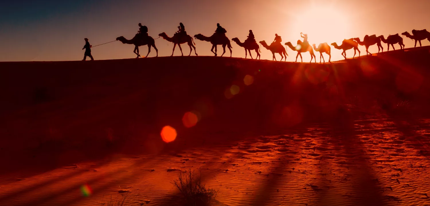 Arabic Stock