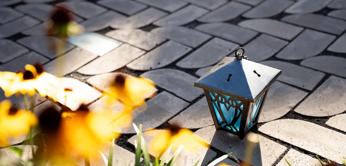 Campus beauty flowers and lantern