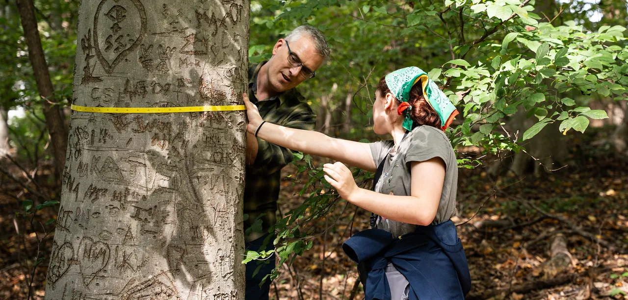 a student and professor measuring a tree