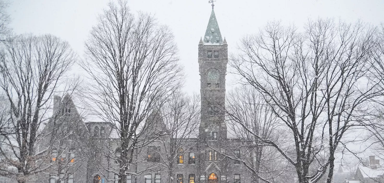 Taylor in the snow