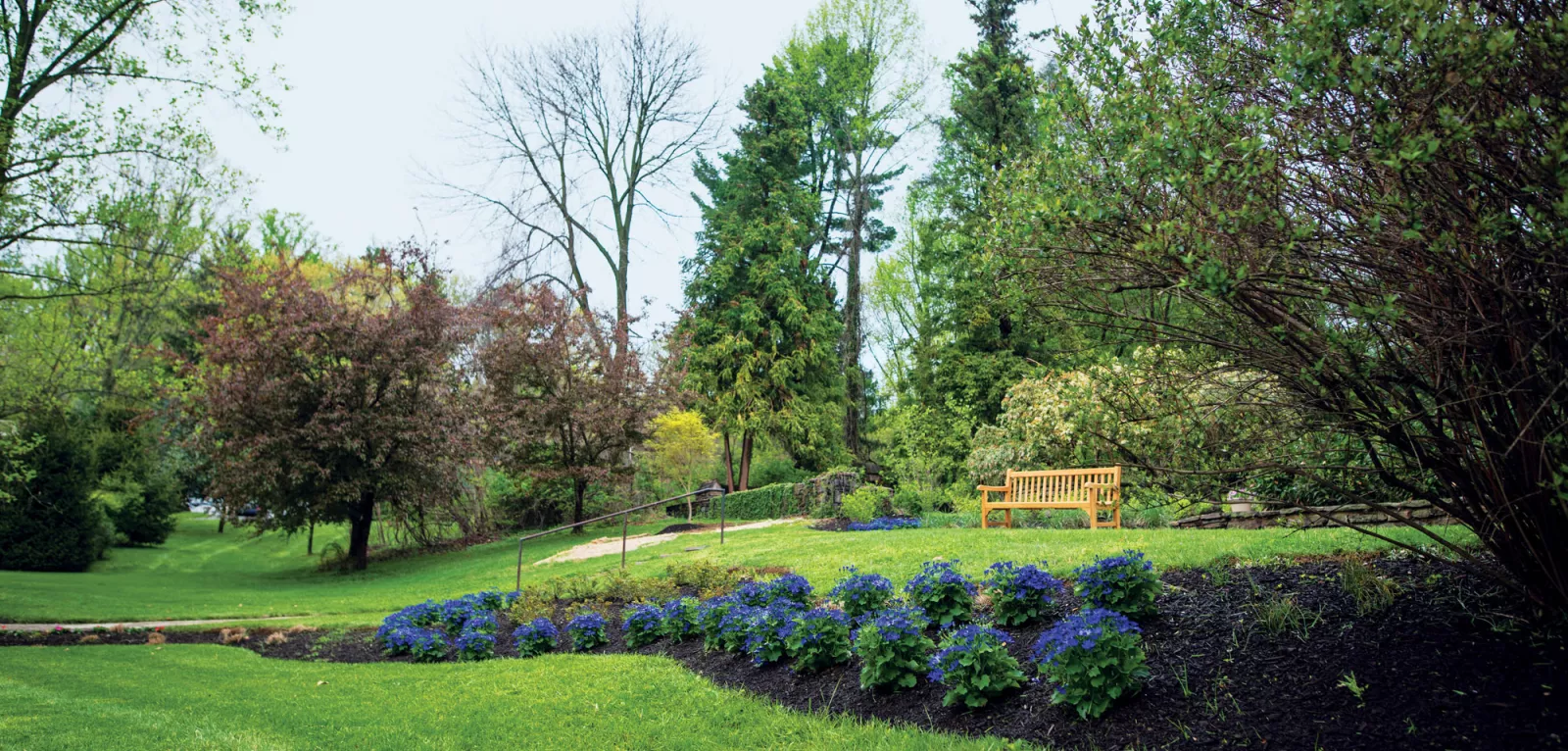 Perry Garden in Bloom