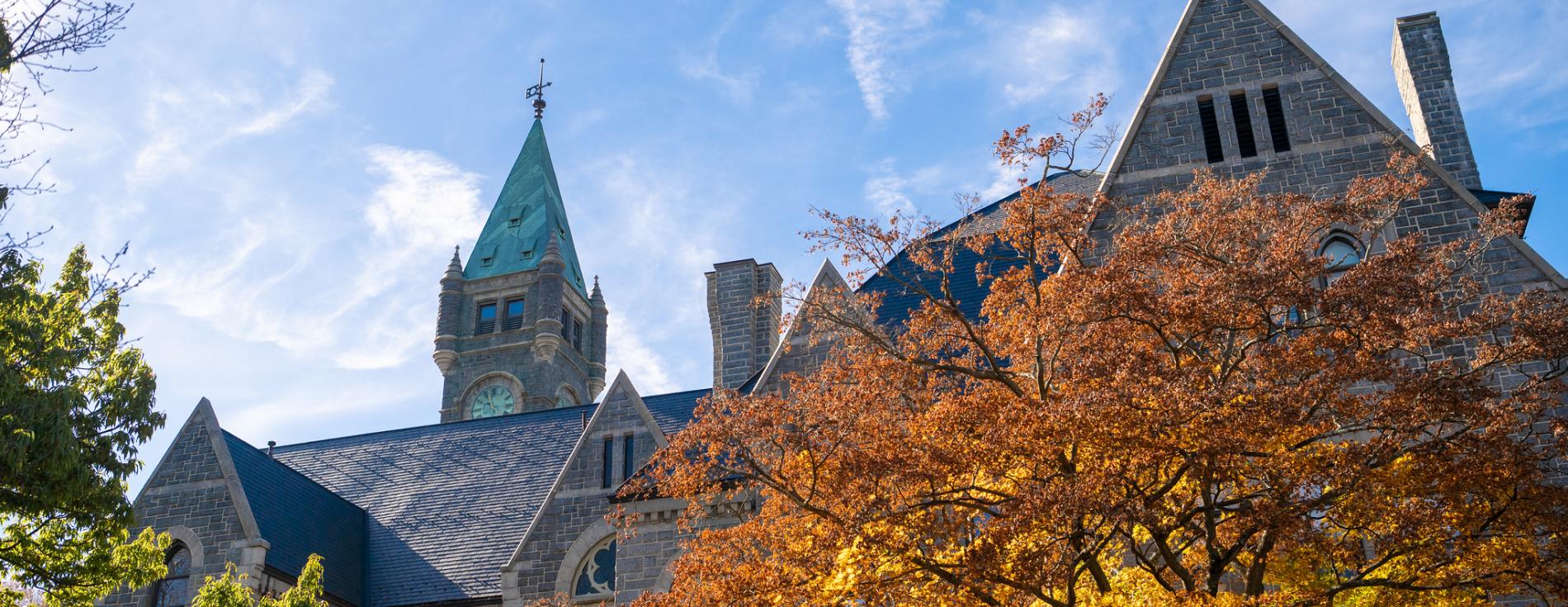 Taylor Hall building and a tree with orange leaves