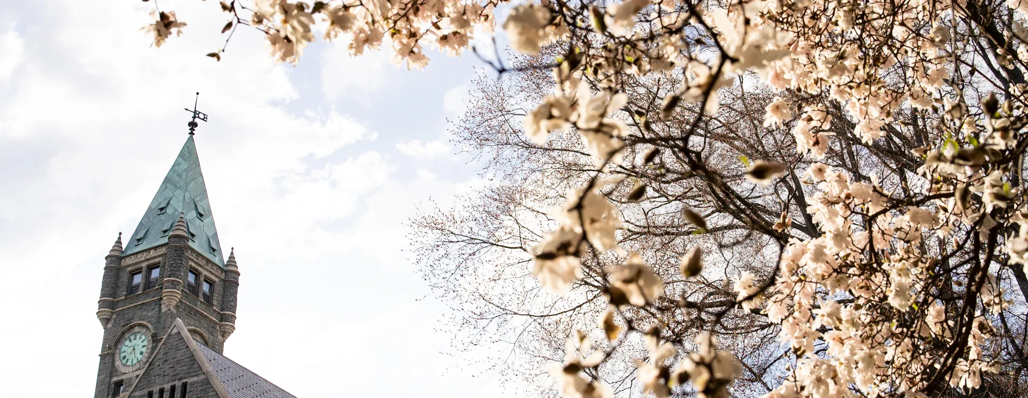 spring