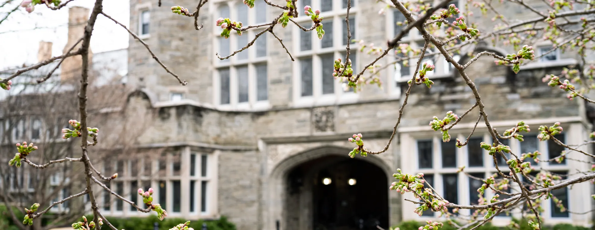 campus