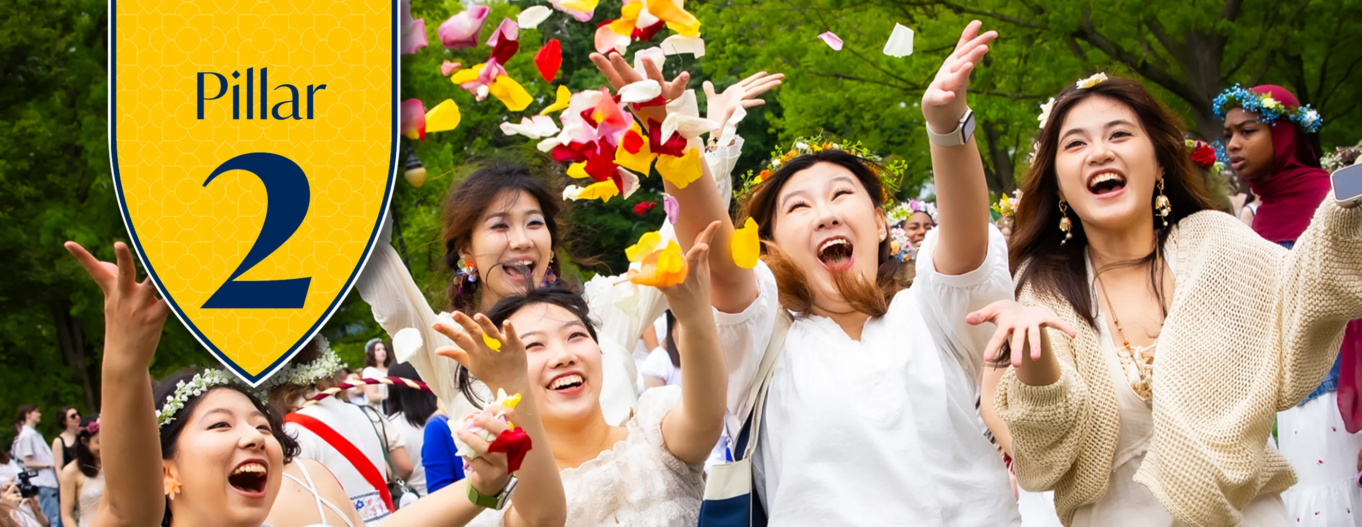 Next Chapter - Pillar 2 hero