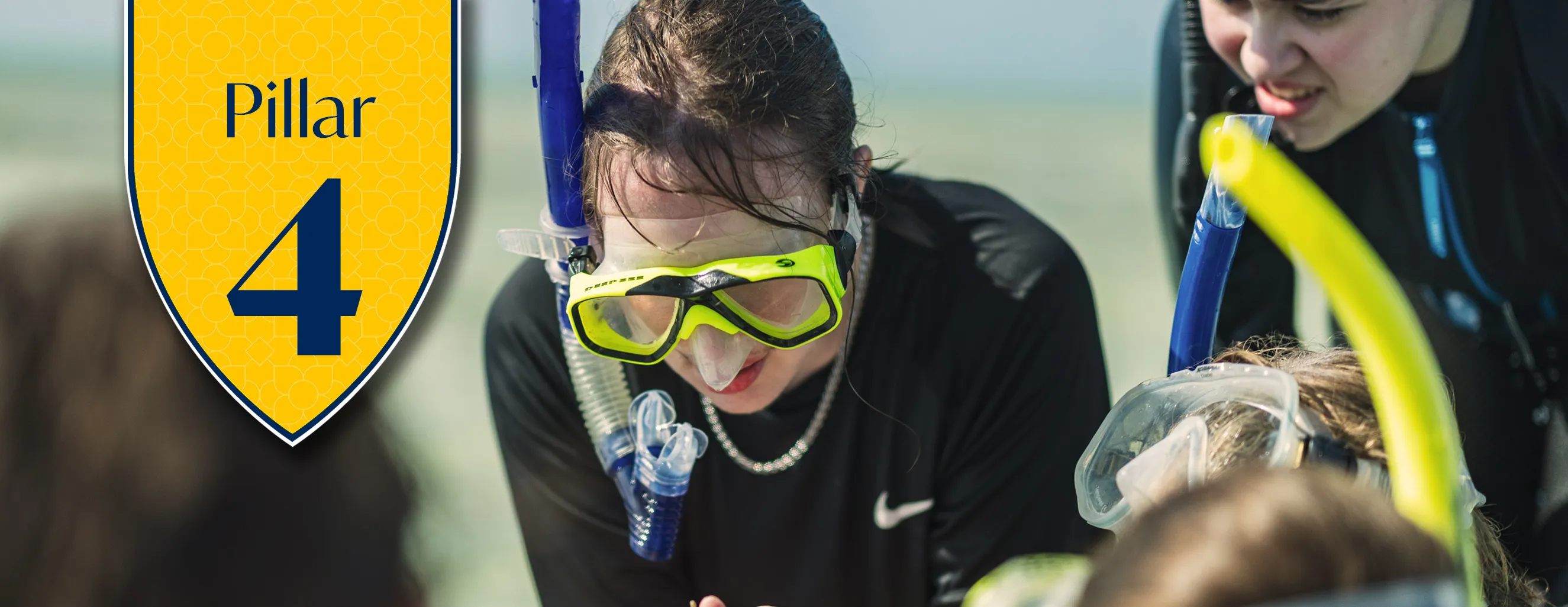 Next Chapter - Pillar 4 hero