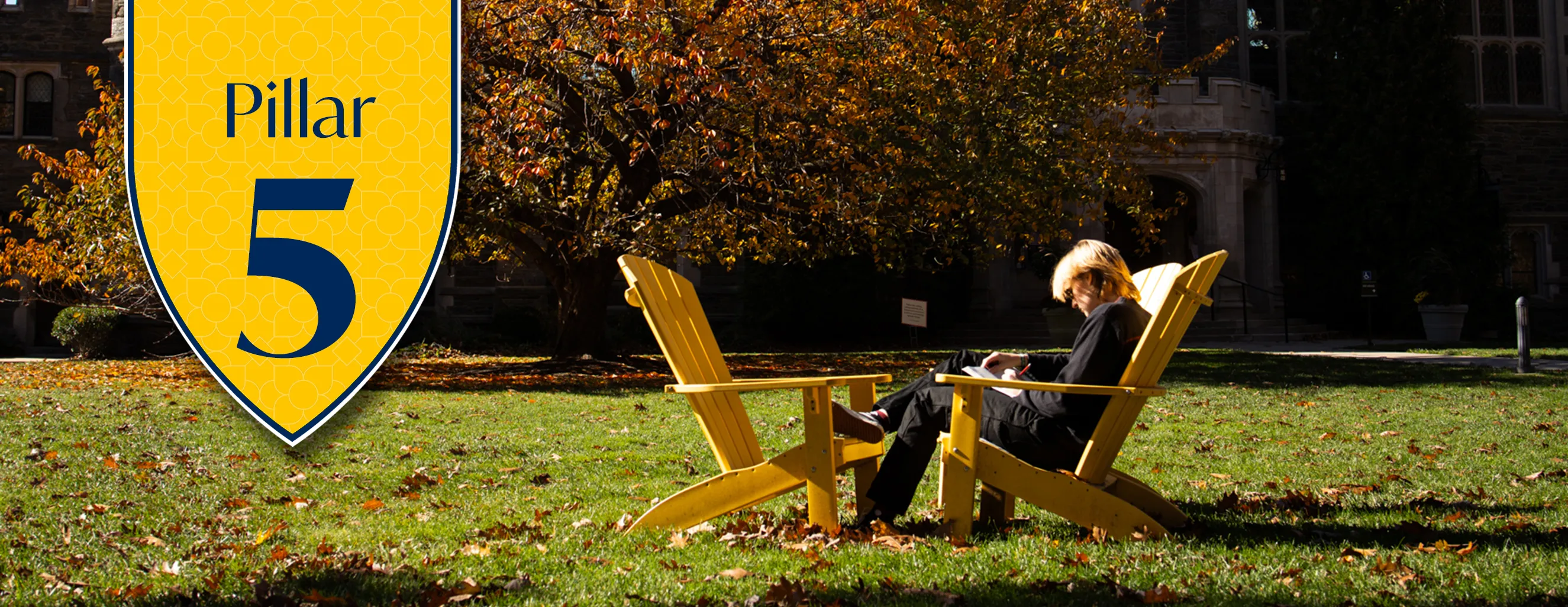 Next Chapter - Pillar 5 hero