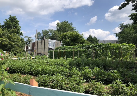 Garden at the People's Kitchen in southwest Philadelphia