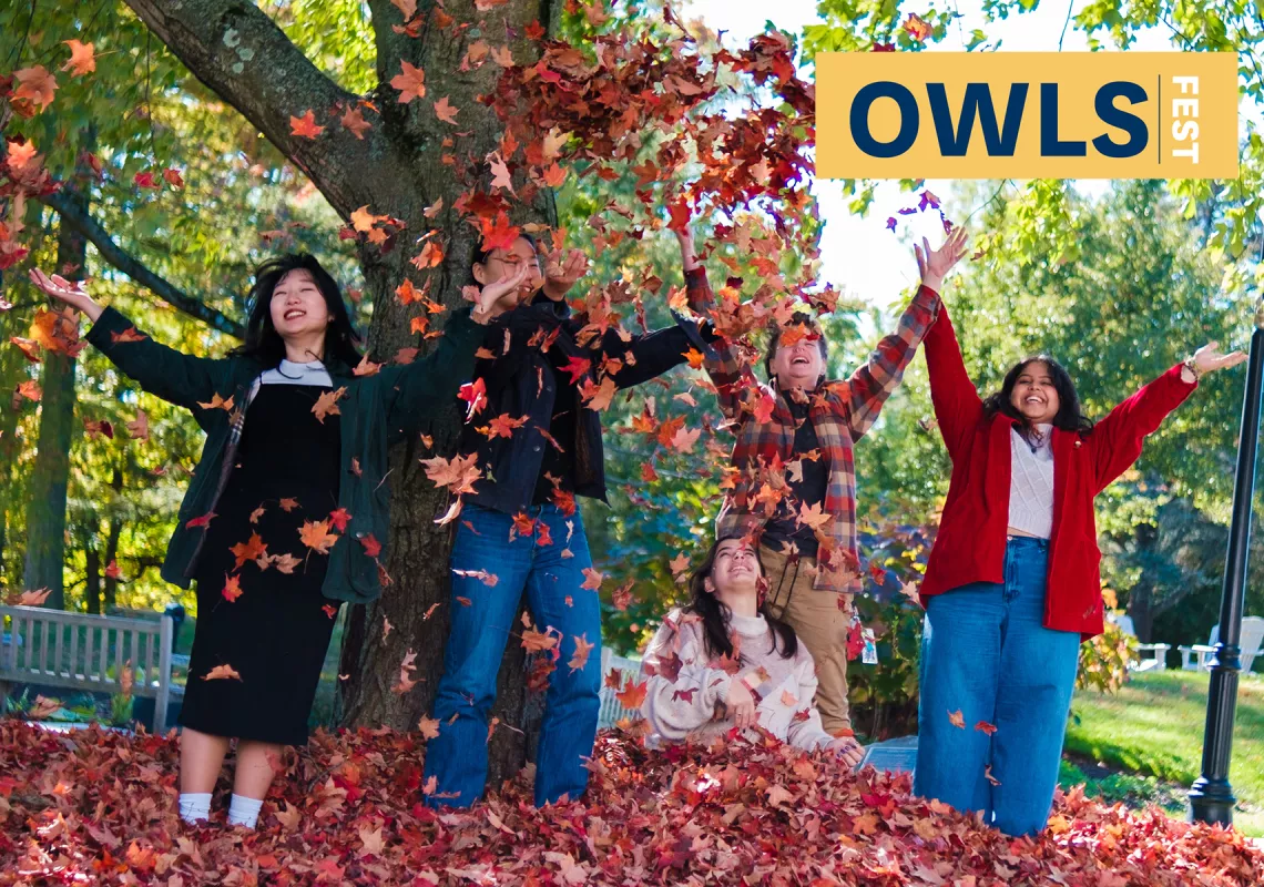 Owls Fest - Destress