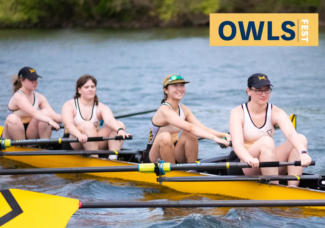 Owls Fest - Regatta