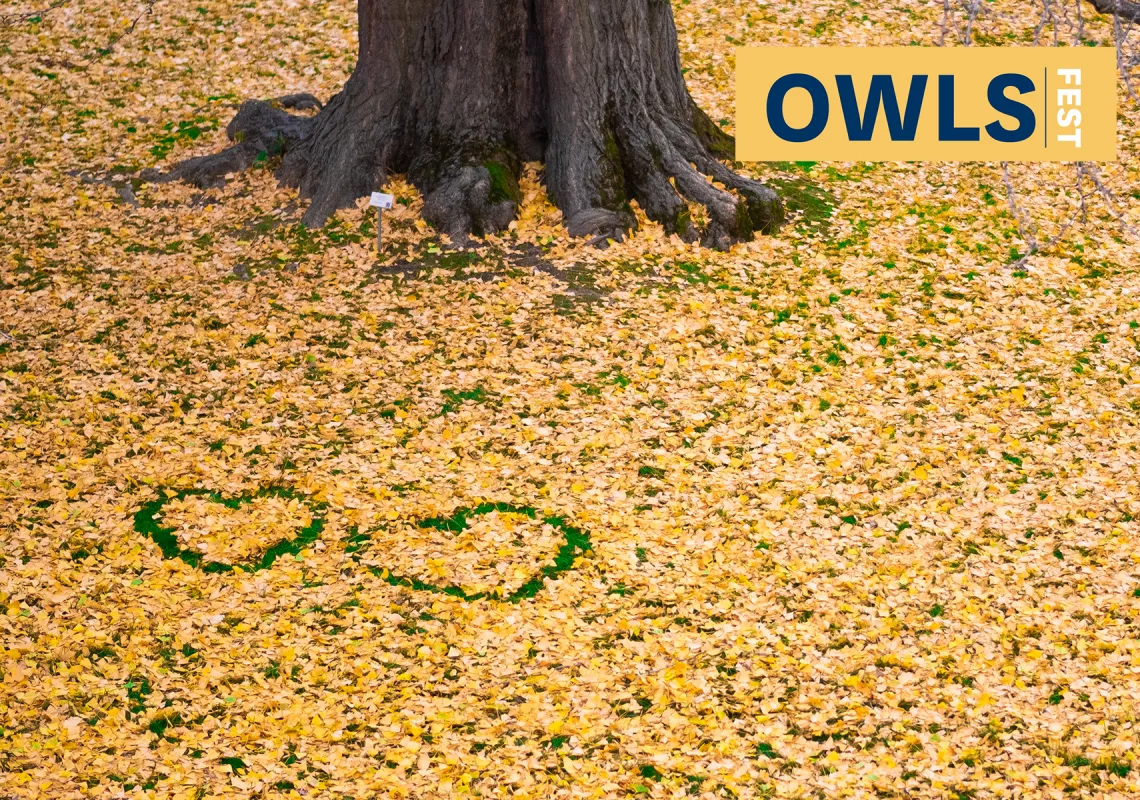 Owls Fest - Tapestry