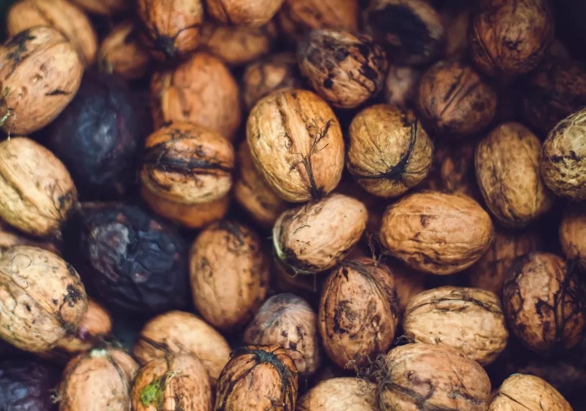 black walnuts