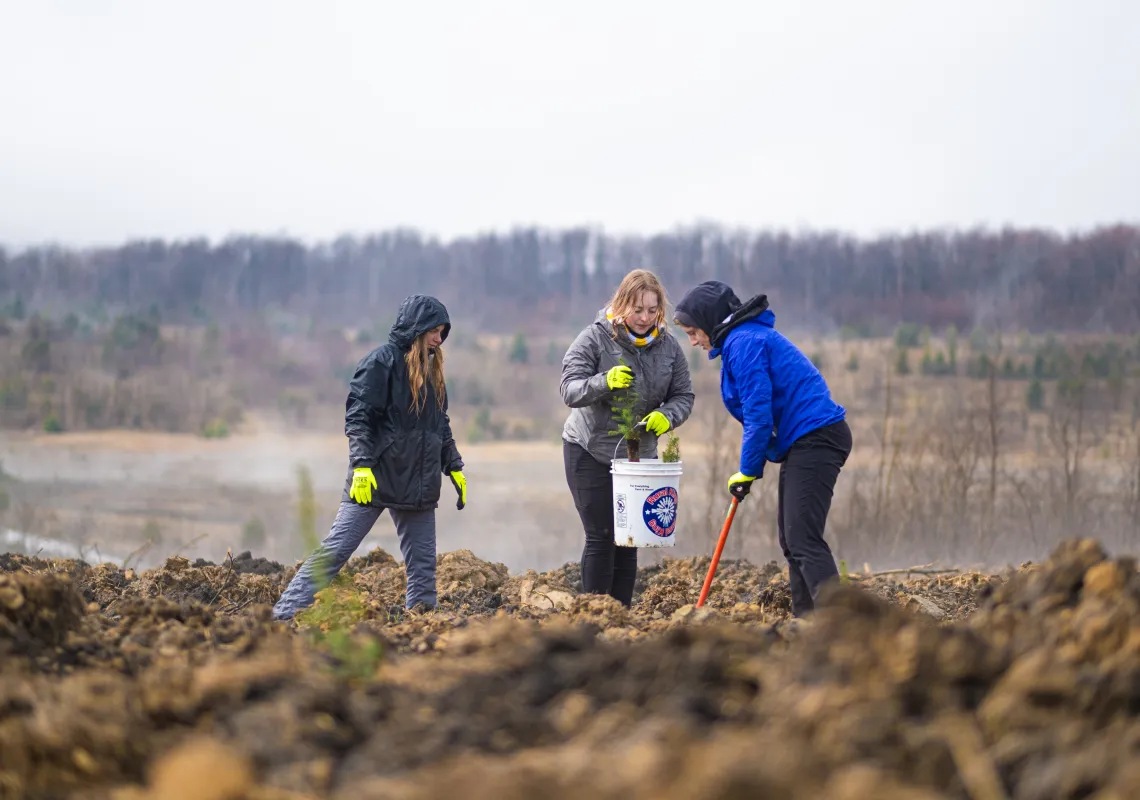 Sustainability - Greening - PEC