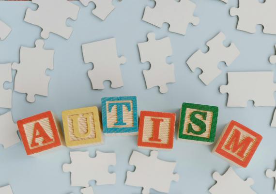 GSSWSR - CPD - Autism