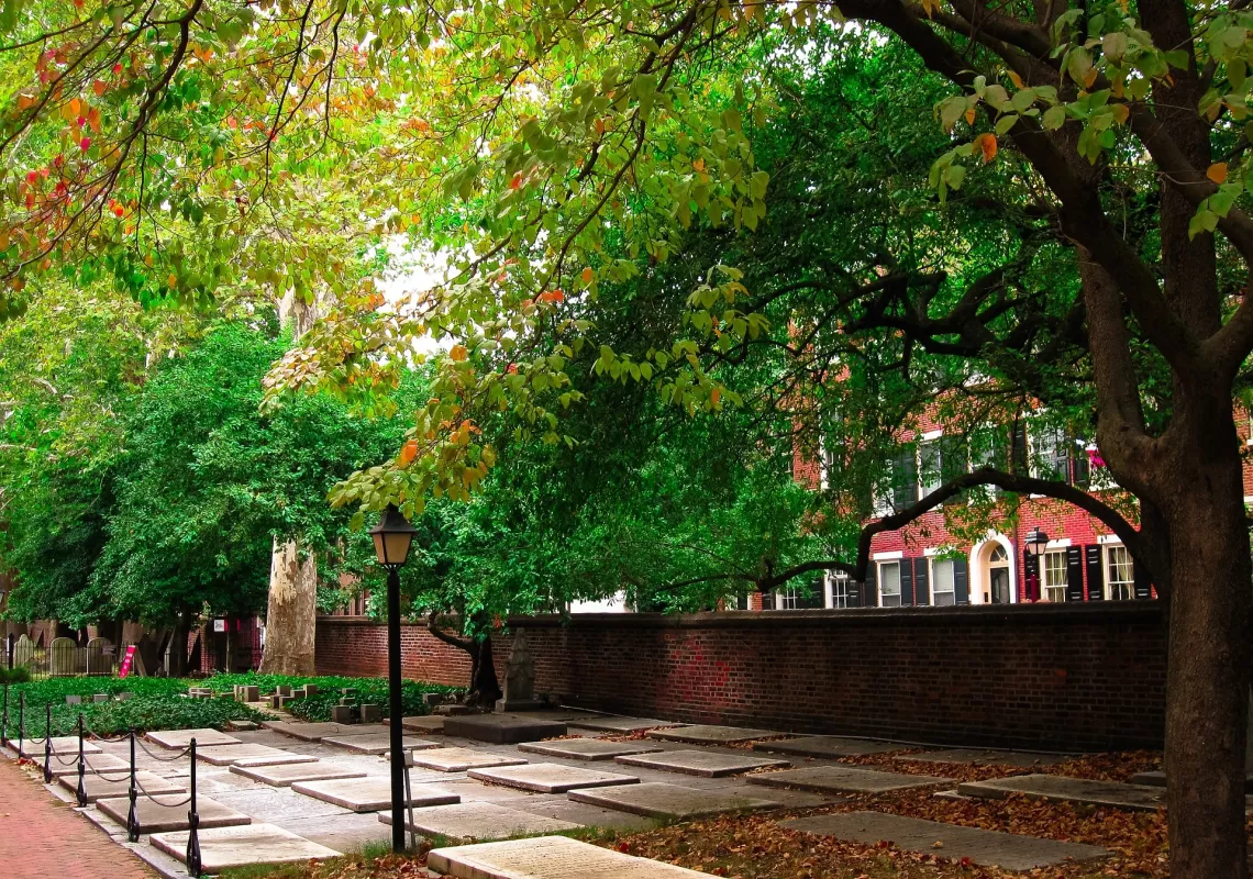 Philadelphia Pine Street Trees