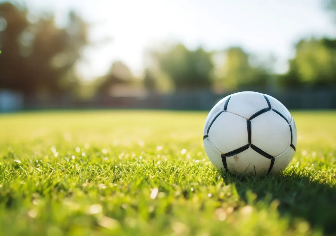 Soccer ball in a field