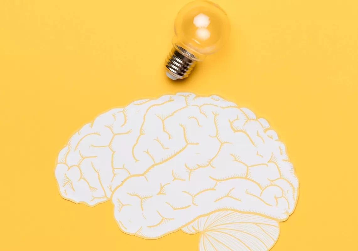 brain stock