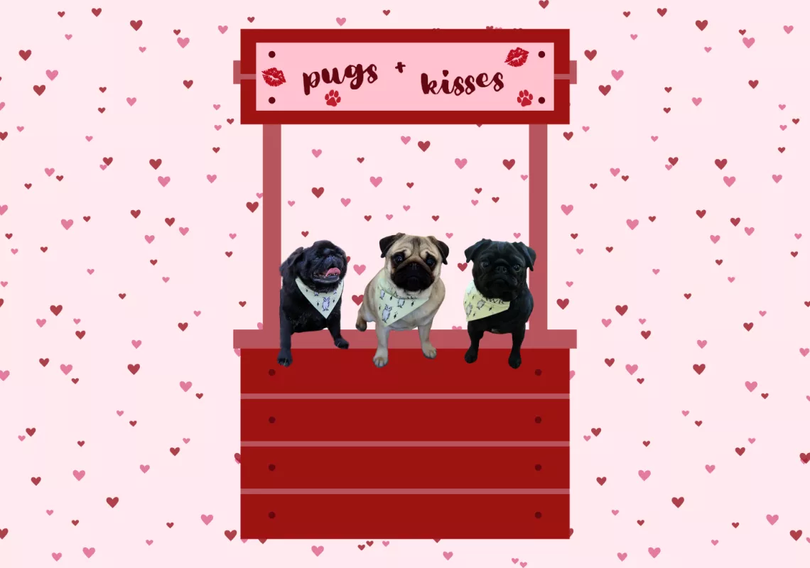 Pugs and Kisses 