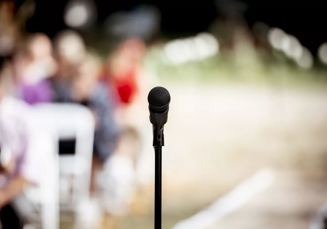 mic stock