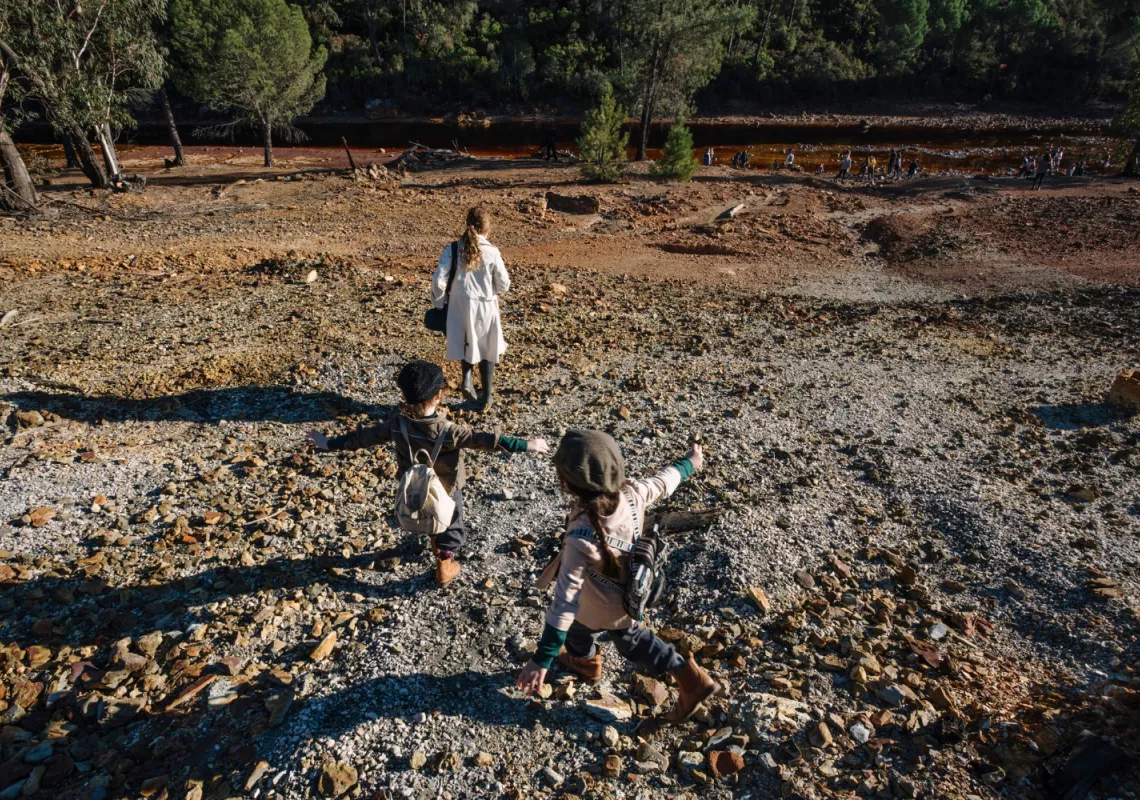 Playing in field stock