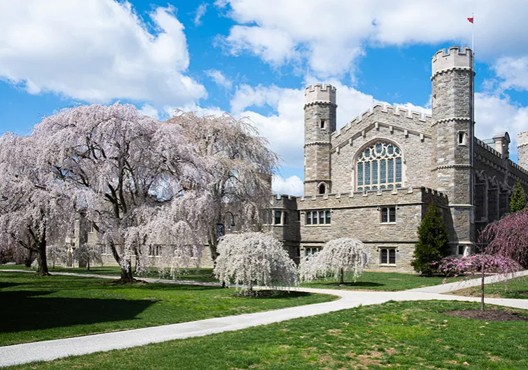Old Library with cherry blossom trees