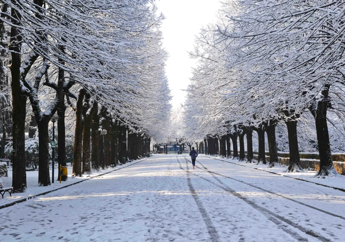"La passeggiata innevata", by Paolo Carnassale. Photo on public domain