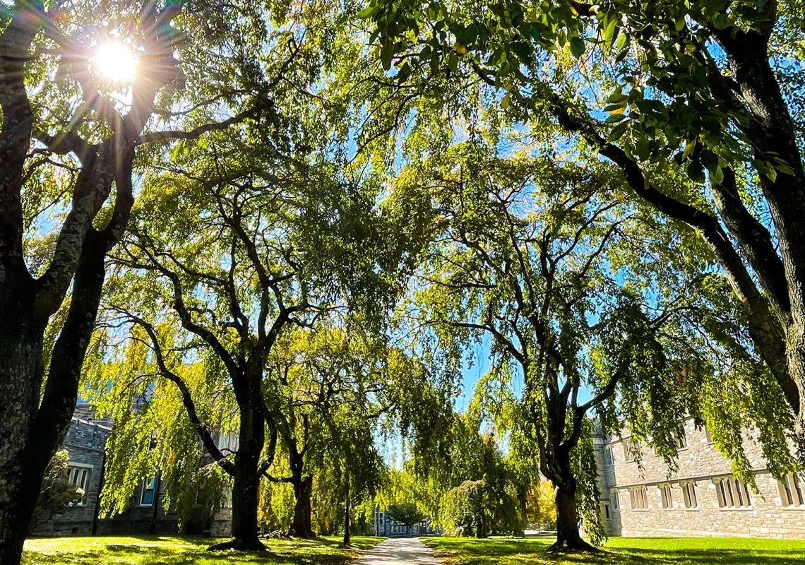 Event Image Placeholder - Default Image 7