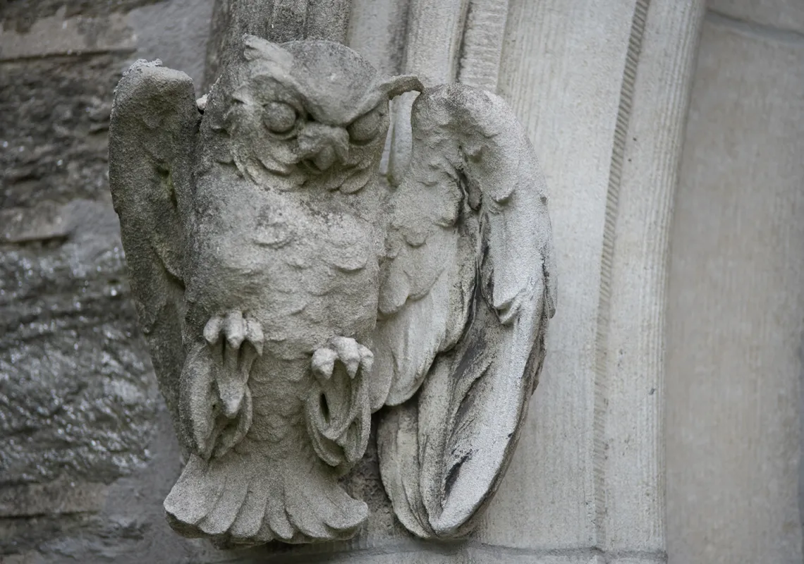 Event Image Placeholder - Default Image 12