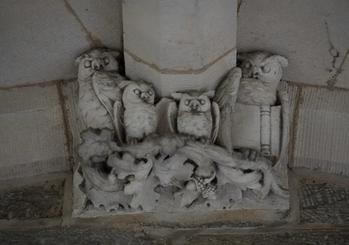 Event Image Placeholder - Default Image 16