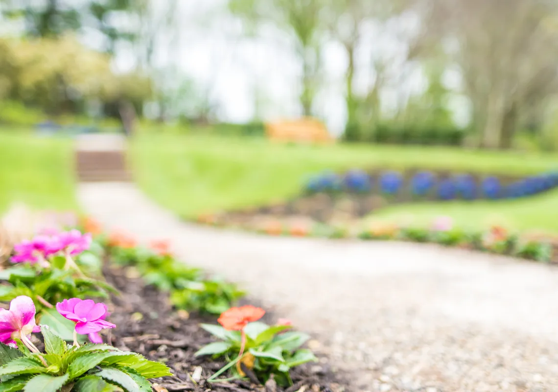 Event Image Placeholder - Default Image 36