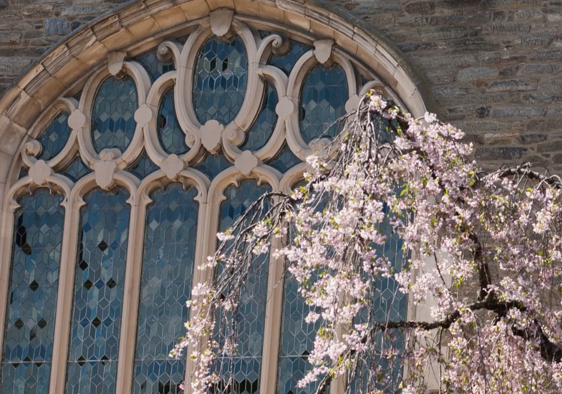 Event Image Placeholder - Default Image 90